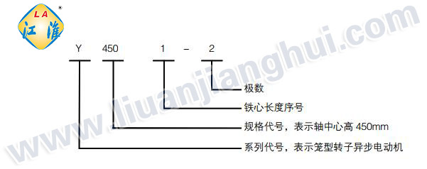 Y2緊湊型高壓三相異步電動(dòng)機(jī)_型號意義說明_六安江淮電機(jī)有限公司