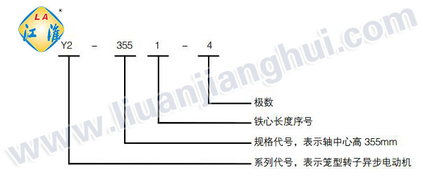 Y2緊湊型高壓三相異步電動機(jī)_型號意義說明_六安江淮電機(jī)有限公司